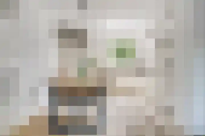 Jan van Riebeecklaan 109 Gouda thumbnail 8