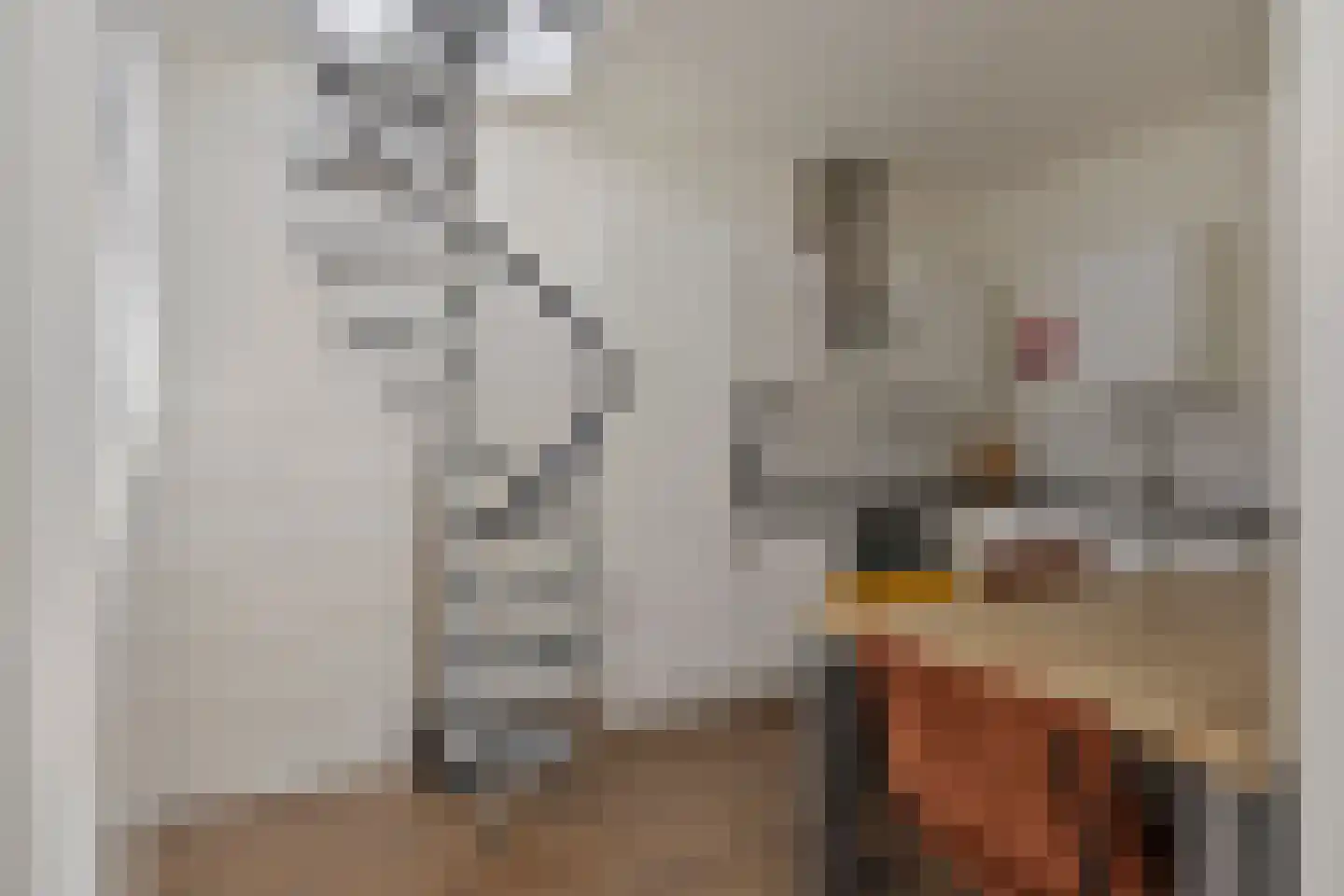 Jan van Riebeecklaan 13 A Eindhoven thumbnail 14