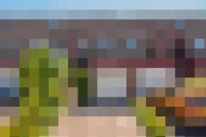 Jan van Riebeecklaan 34 in Gouda