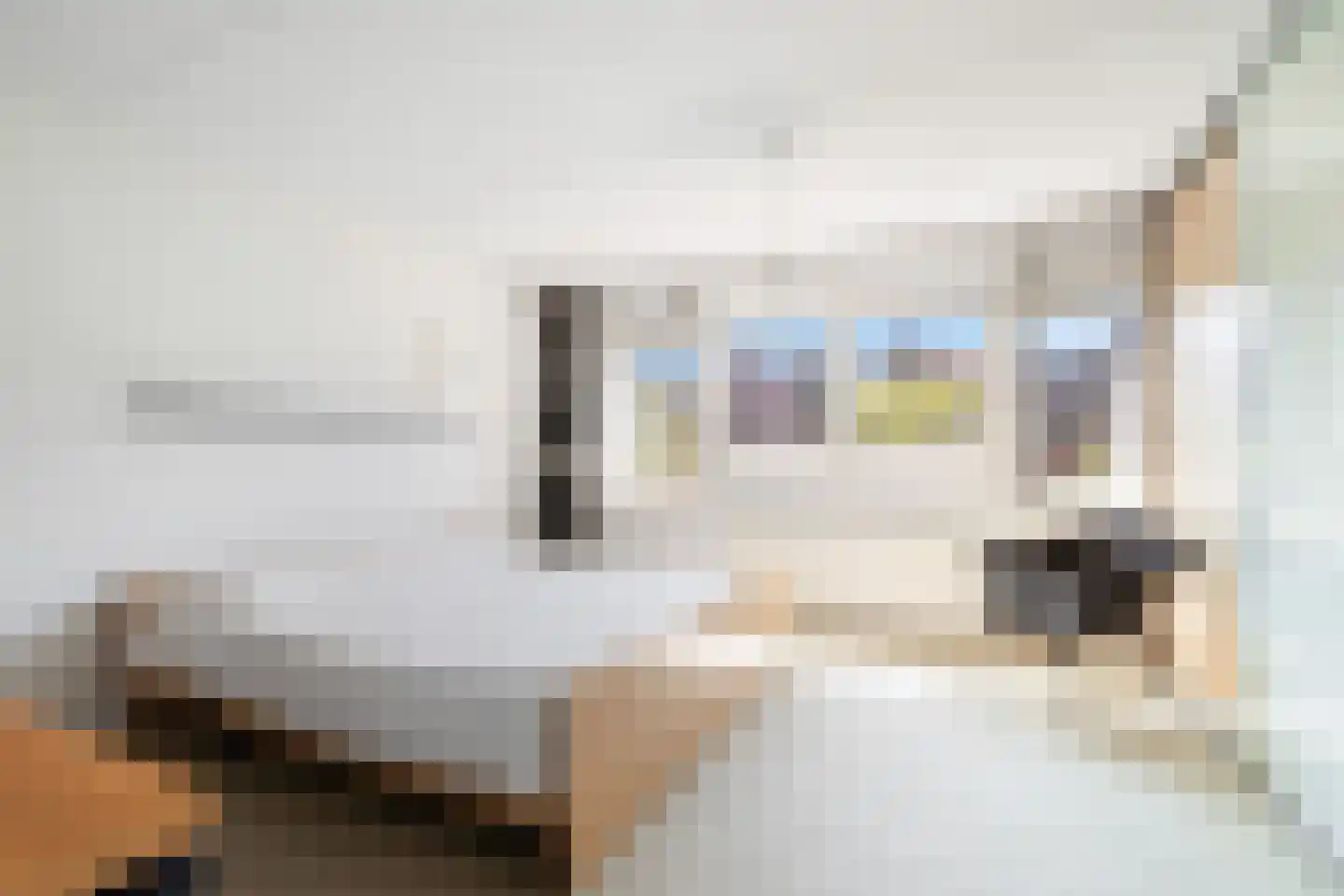 Jan van Riebeecklaan 35 Gouda thumbnail 30