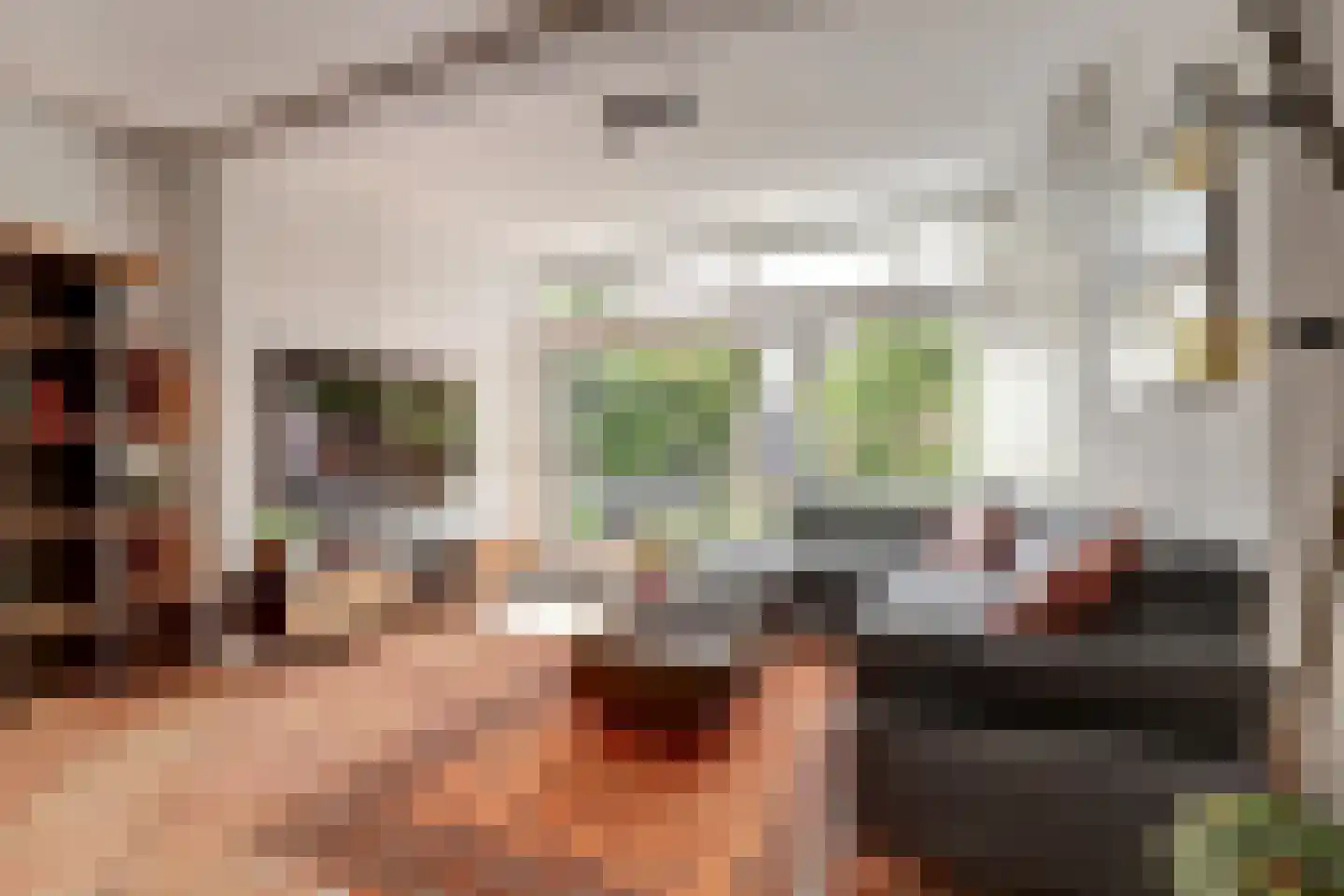 Jan van Riebeecklaan 5 Gouda thumbnail 10