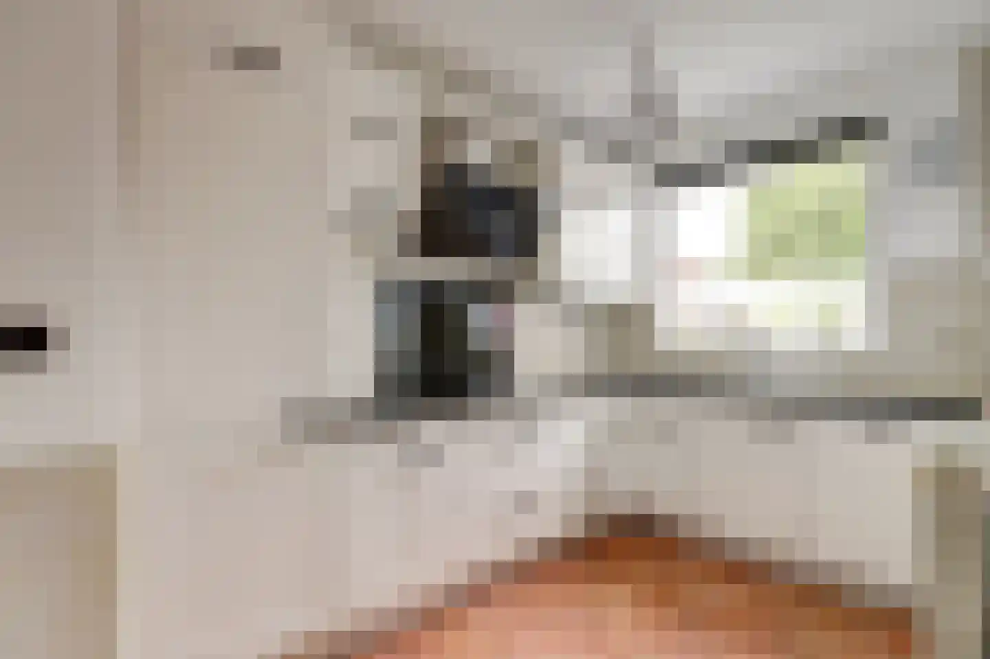 Jan van Riebeecklaan 5 Gouda thumbnail 18