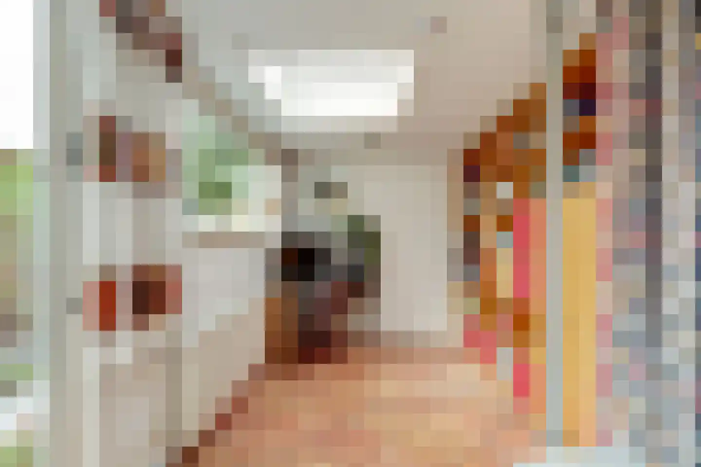 Jan van Riebeecklaan 5 Gouda thumbnail 22