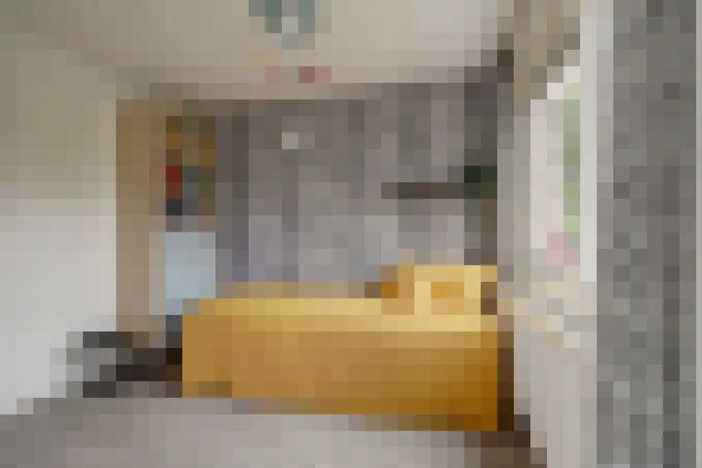 Jan van Riebeecklaan 5 Gouda thumbnail 26