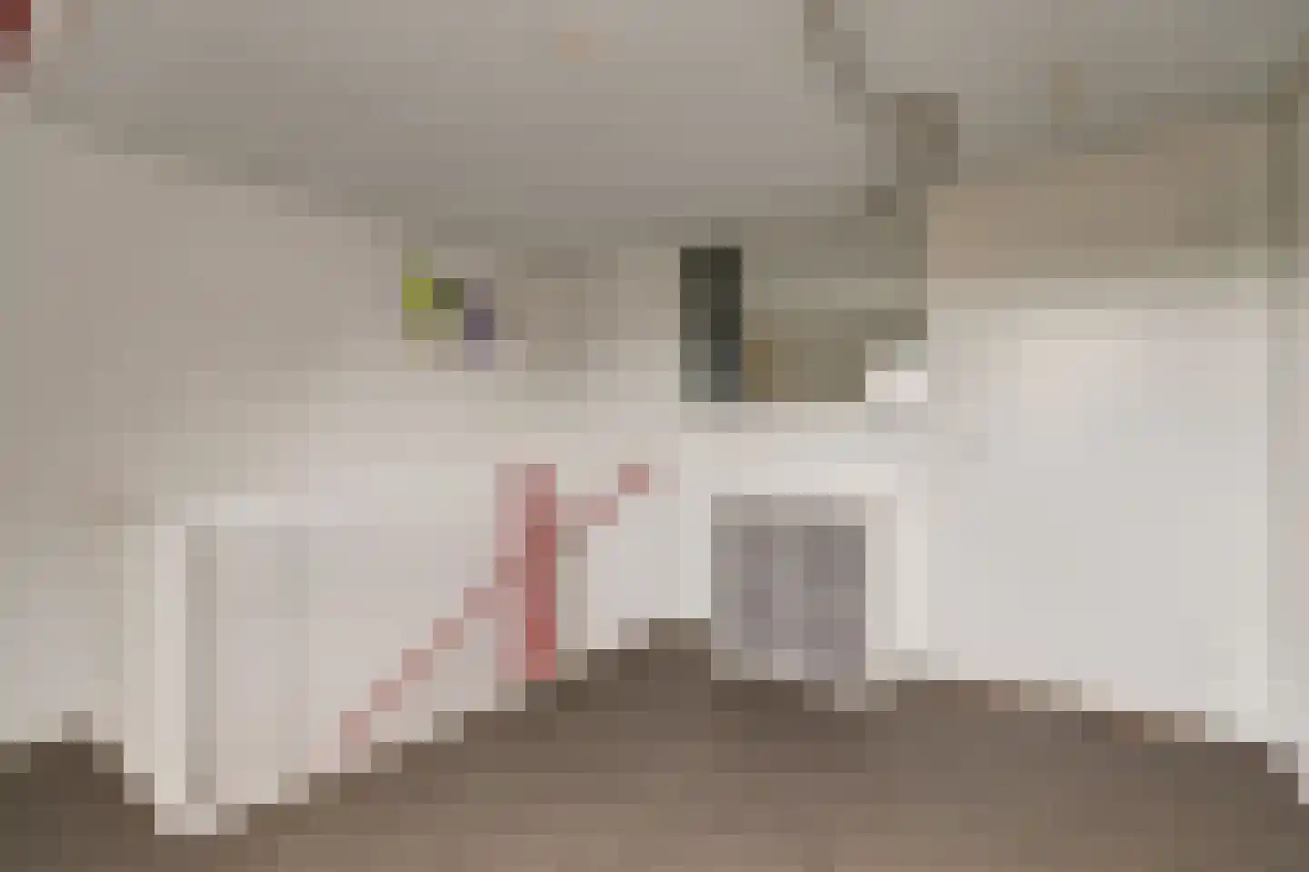 Jan van Riebeecklaan 5 Gouda thumbnail 34