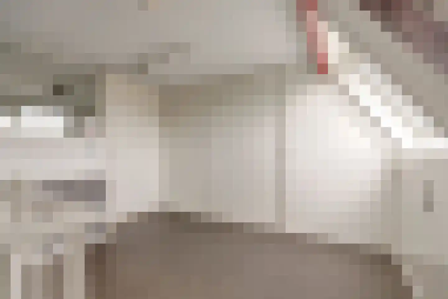 Jan van Riebeecklaan 5 Gouda thumbnail 35