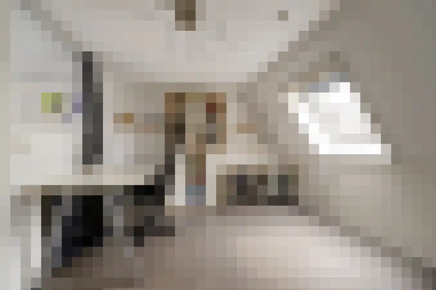 Jan van Riebeecklaan 5 Gouda thumbnail 36