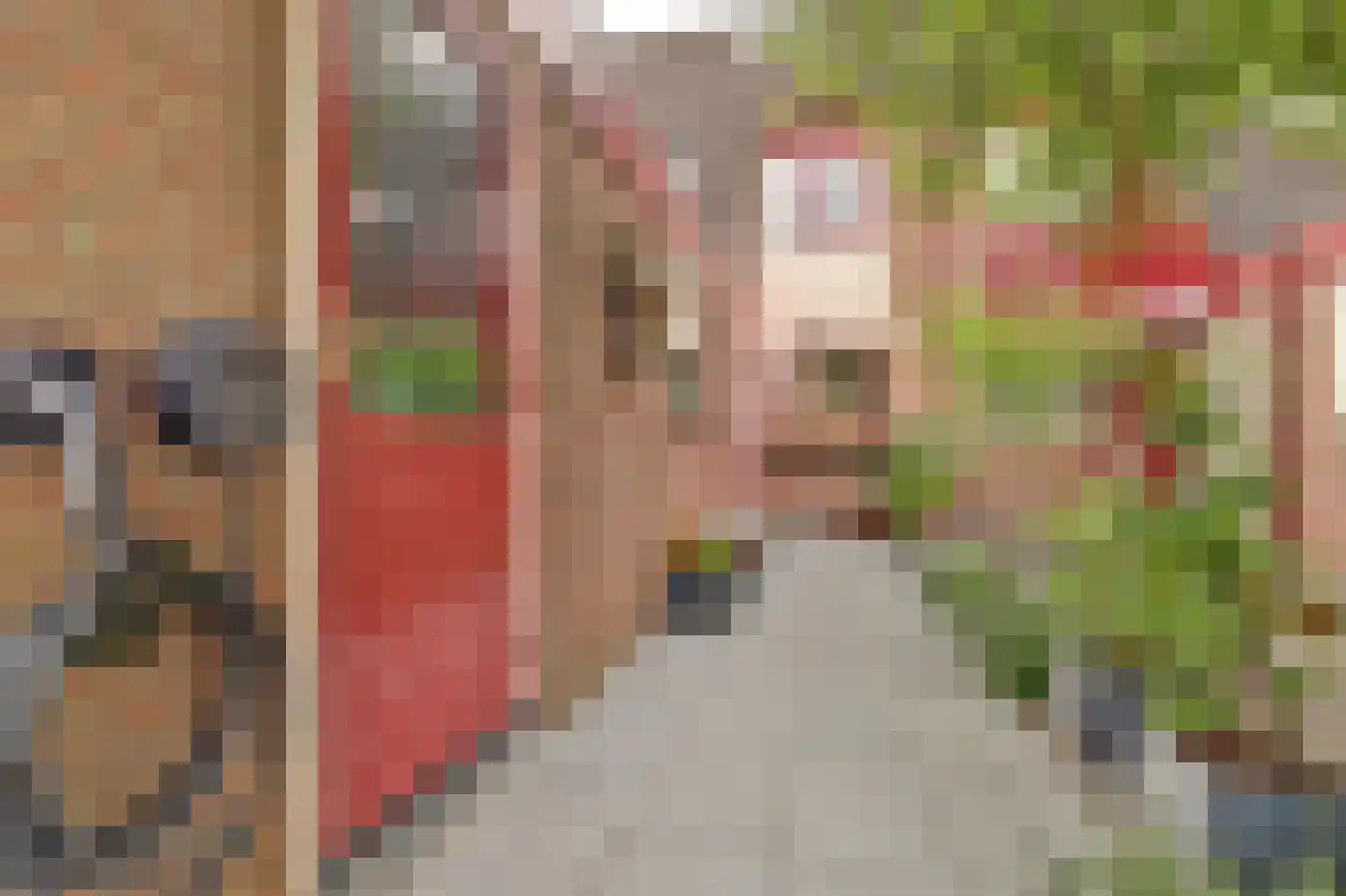 Jan van Riebeecklaan 5 Gouda thumbnail 45