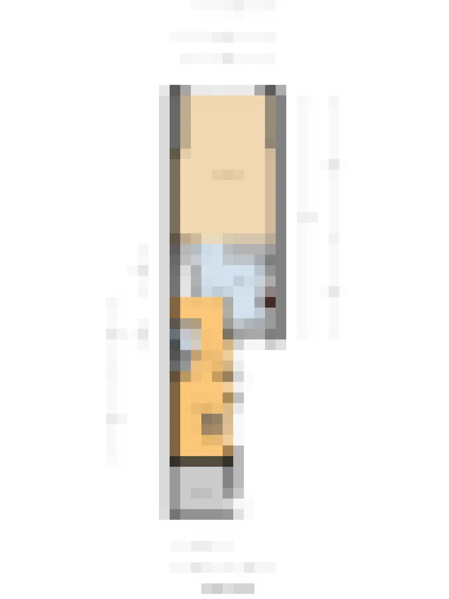 Jan van Riebeecklaan 5 Gouda thumbnail 52