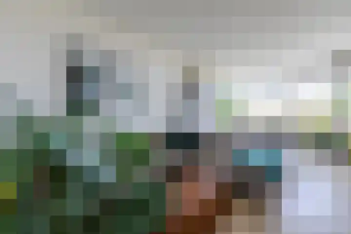 Jan van Riebeeckstraat 138 Culemborg thumbnail 8
