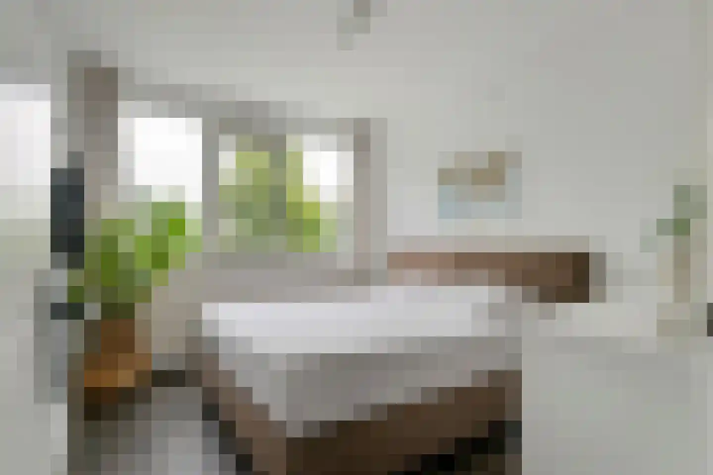 Jan van Riebeeckstraat 148 Culemborg thumbnail 18