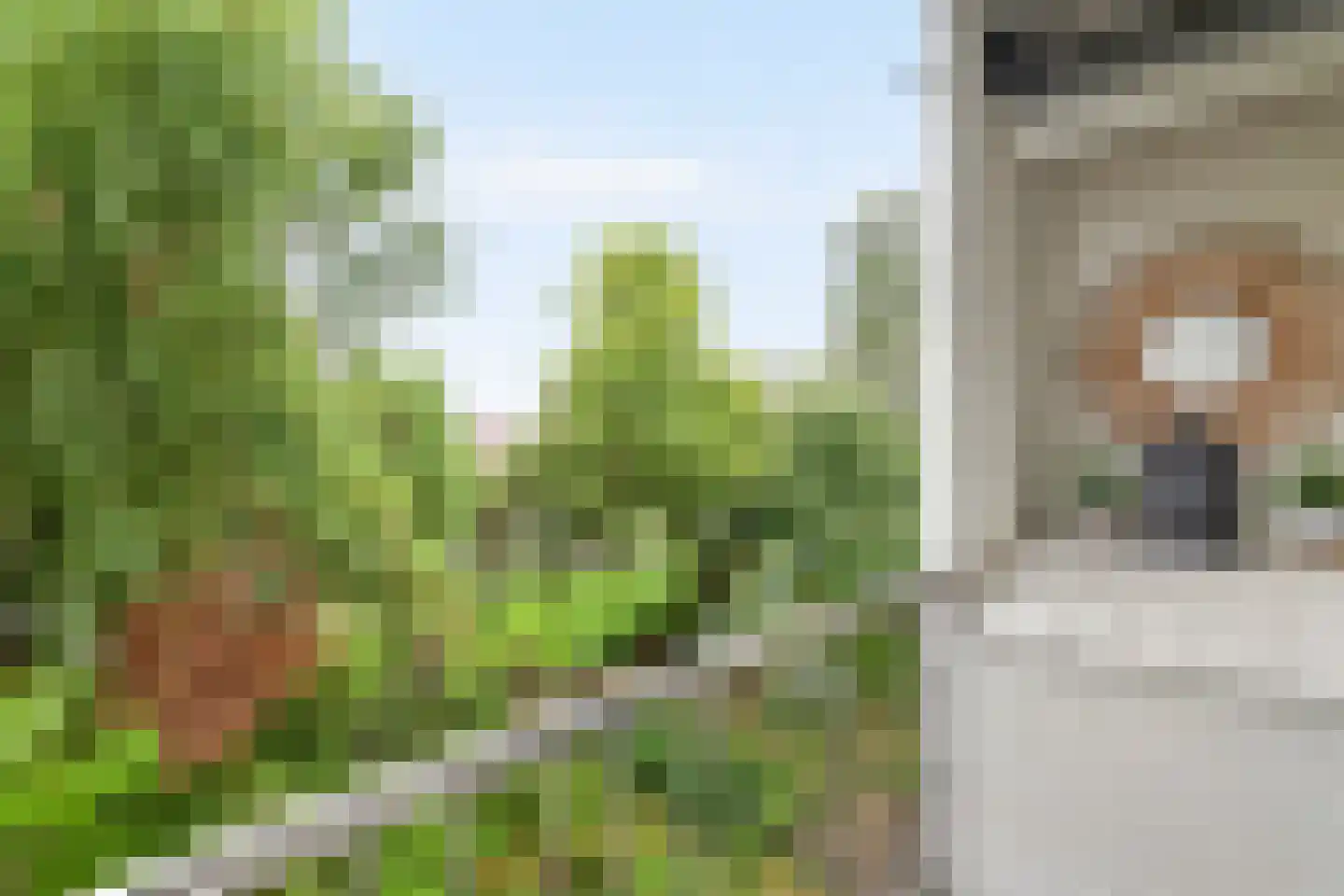 Jan van Riebeeckstraat 148 Culemborg thumbnail 25