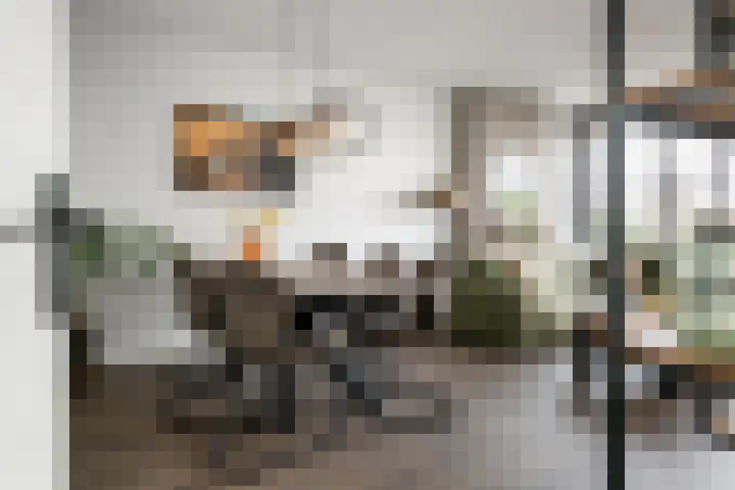 Jan van Riebeeckstraat 148 Culemborg thumbnail 4