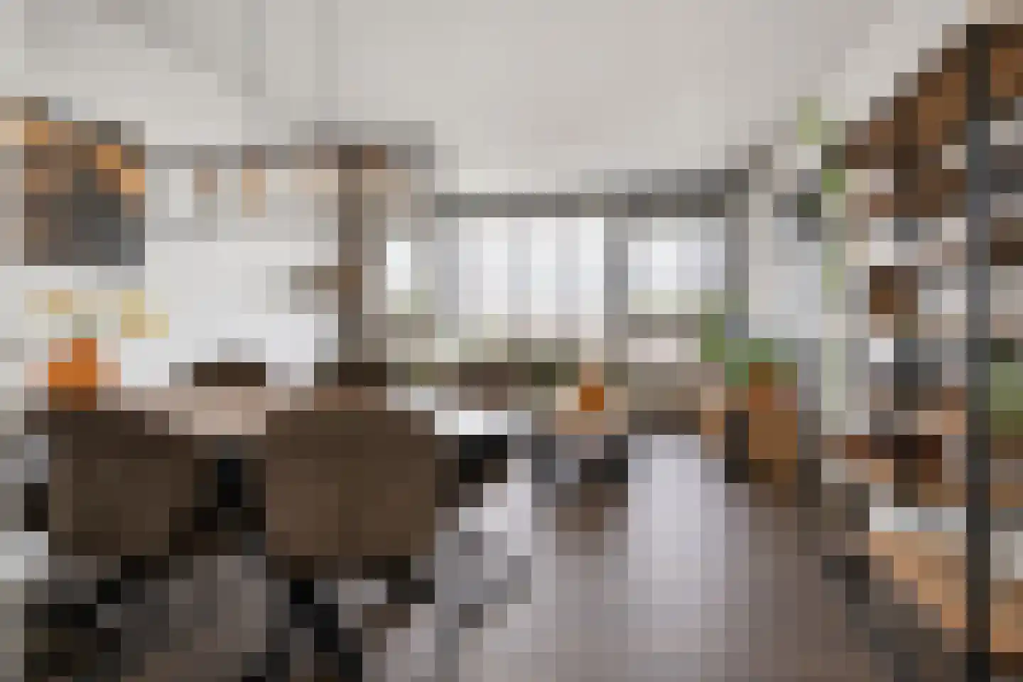 Jan van Riebeeckstraat 148 Culemborg thumbnail 5