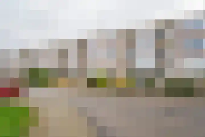Jan van Riebeeckstraat 156 Culemborg thumbnail 33