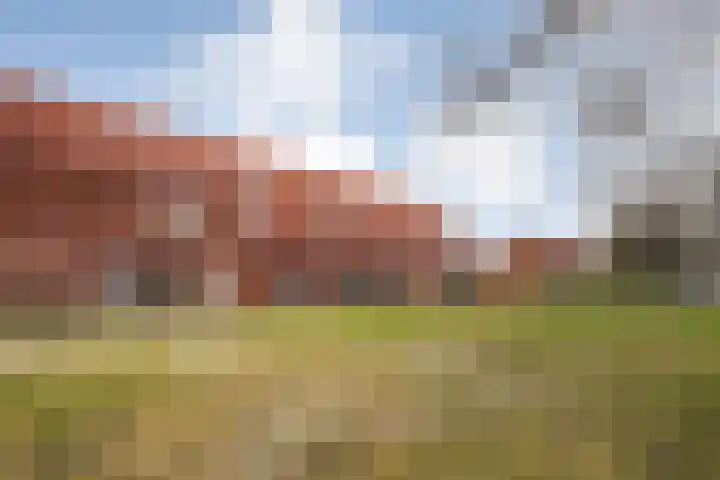 Jan van Riebeeckstraat 156 Steenwijk thumbnail 7