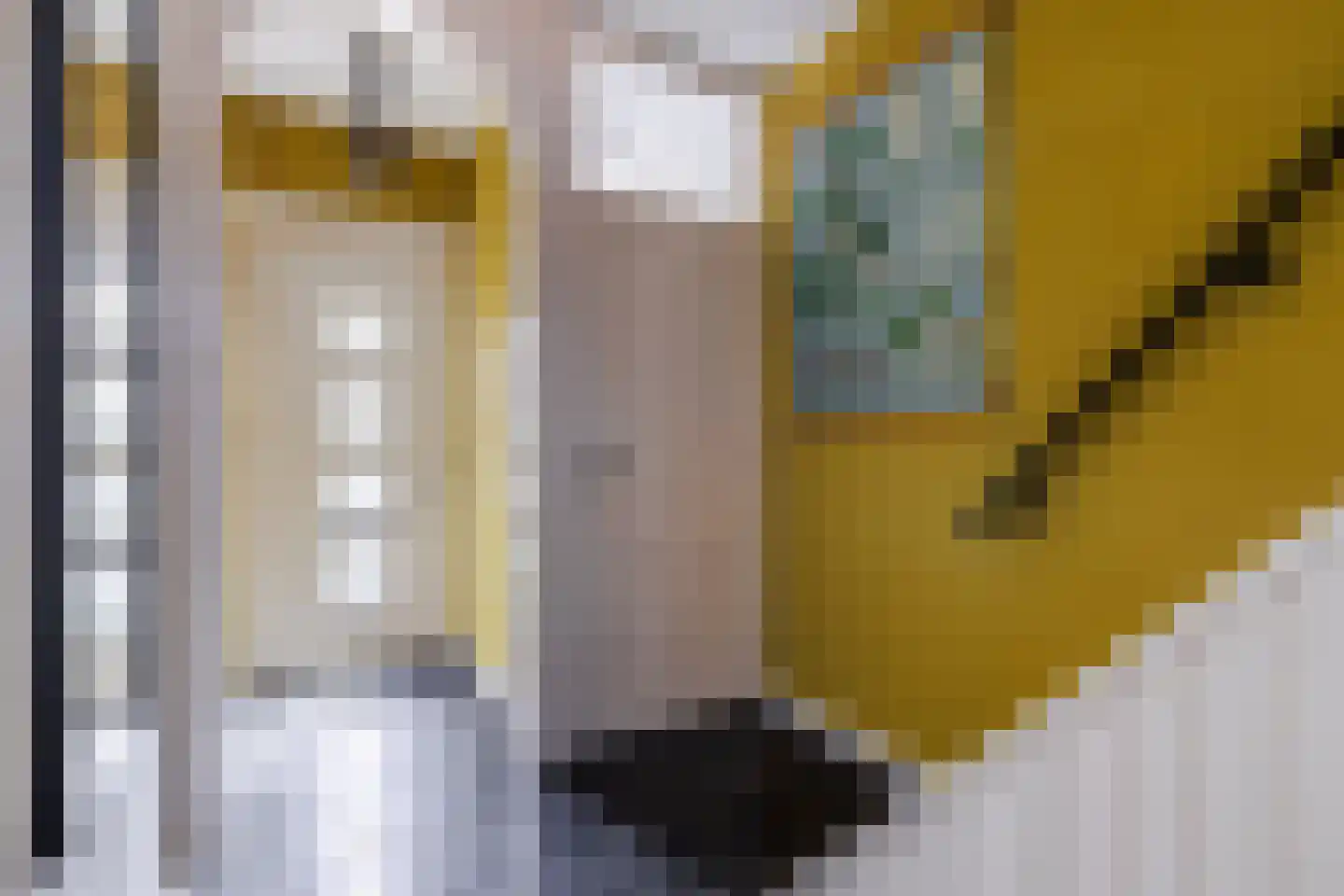 Jan van Riebeeckstraat 26 Rheden thumbnail 16