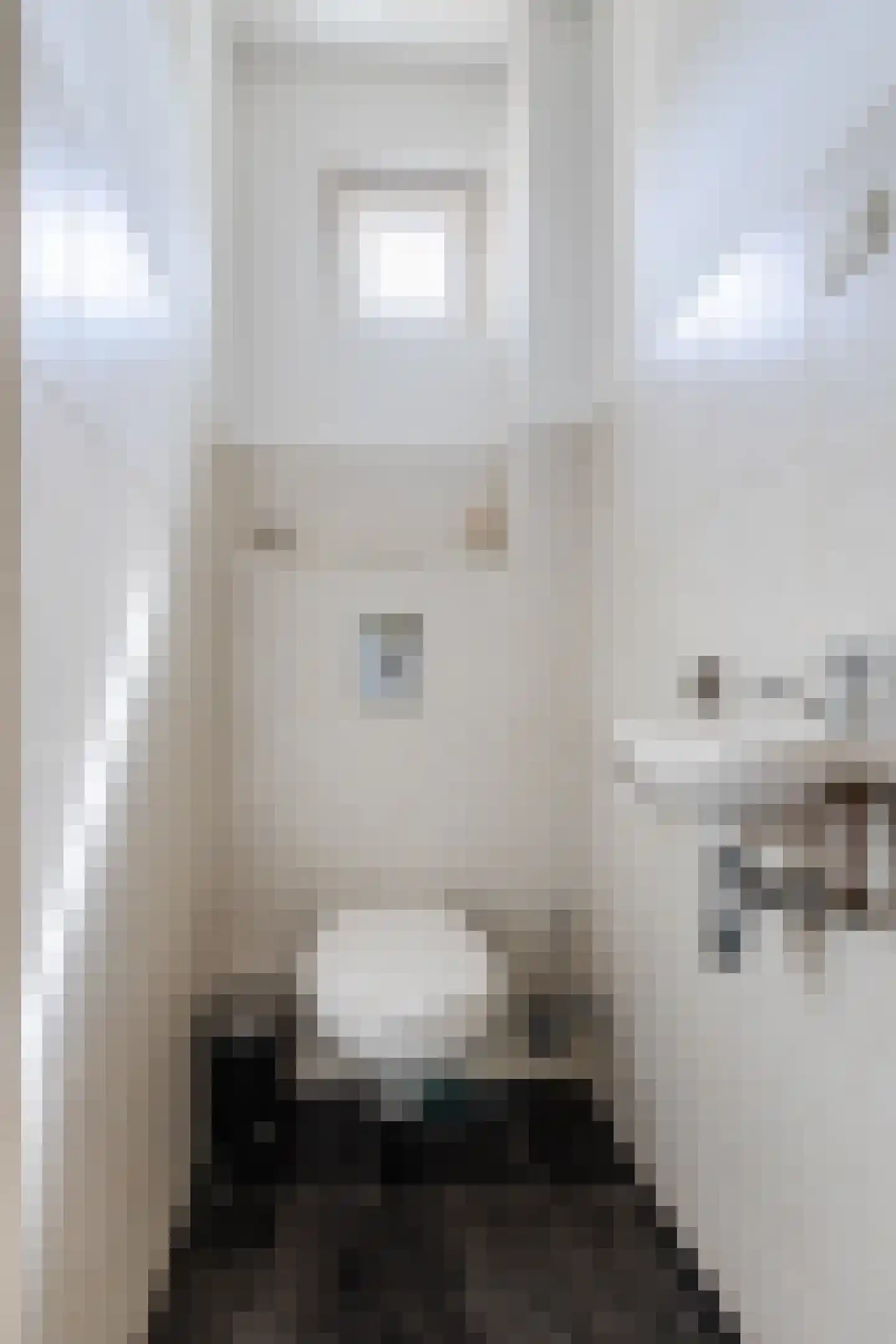 Jan van Riebeeckstraat 26 Rheden thumbnail 19