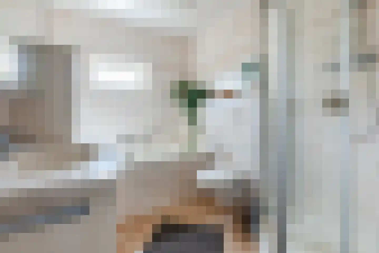 Jan van Riebeeckstraat 26 Rheden thumbnail 24