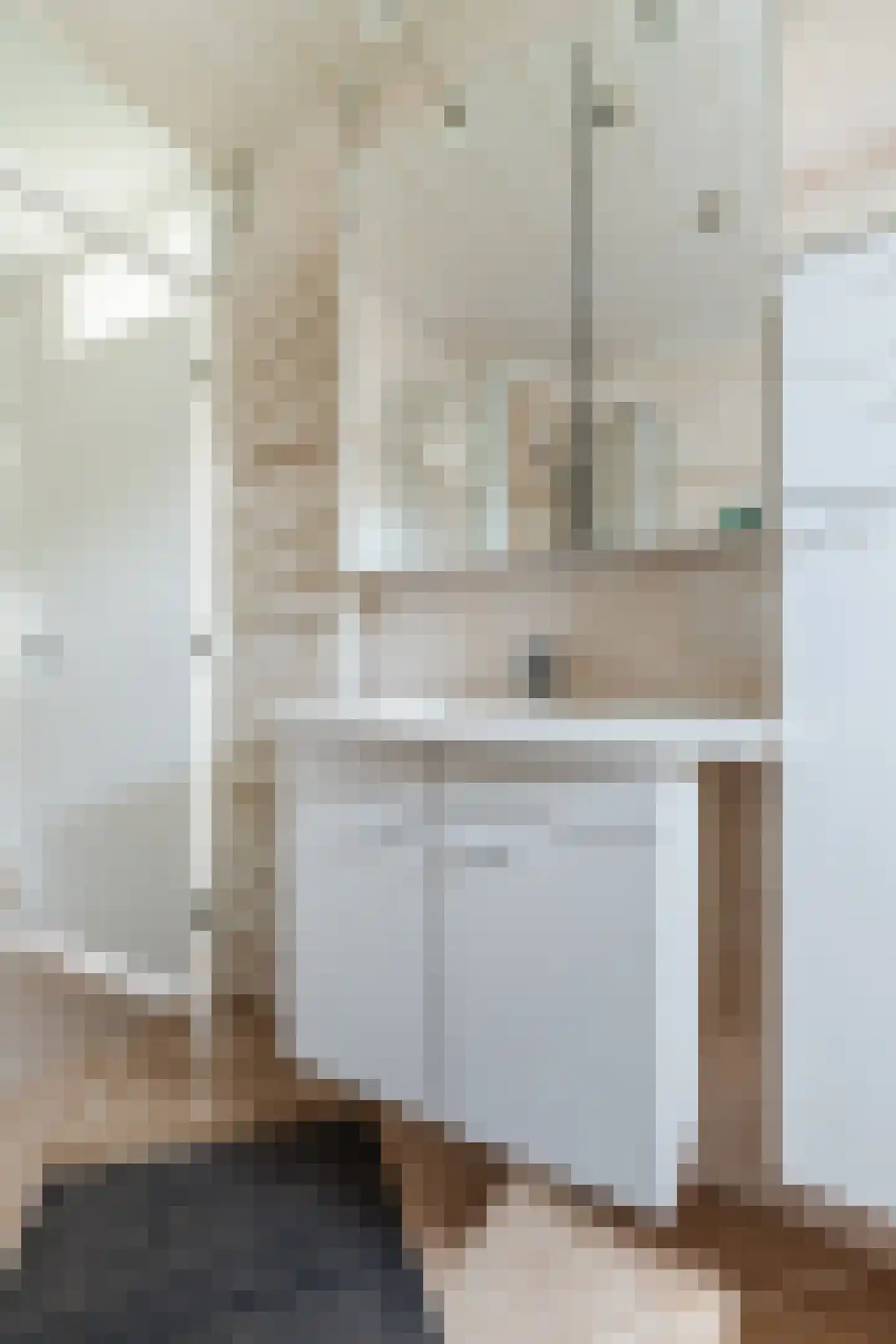 Jan van Riebeeckstraat 26 Rheden thumbnail 27