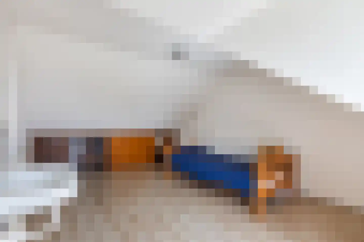Jan van Riebeeckstraat 26 Rheden thumbnail 41