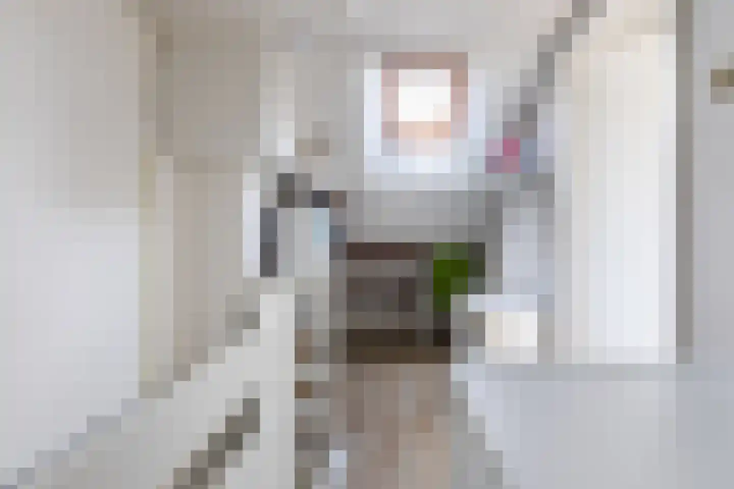 Jan van Riebeeckstraat 26 Rheden thumbnail 44