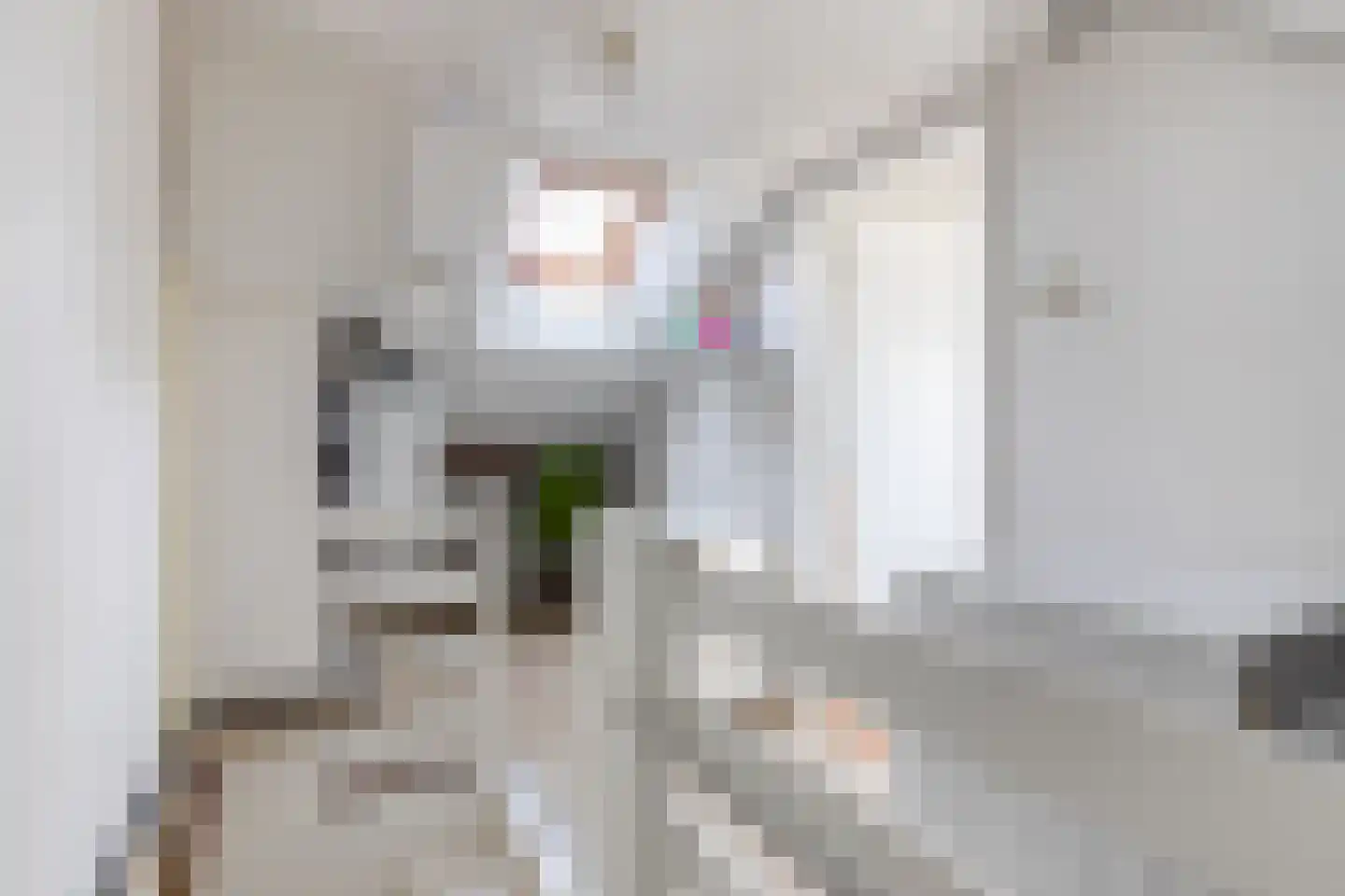 Jan van Riebeeckstraat 26 Rheden thumbnail 45