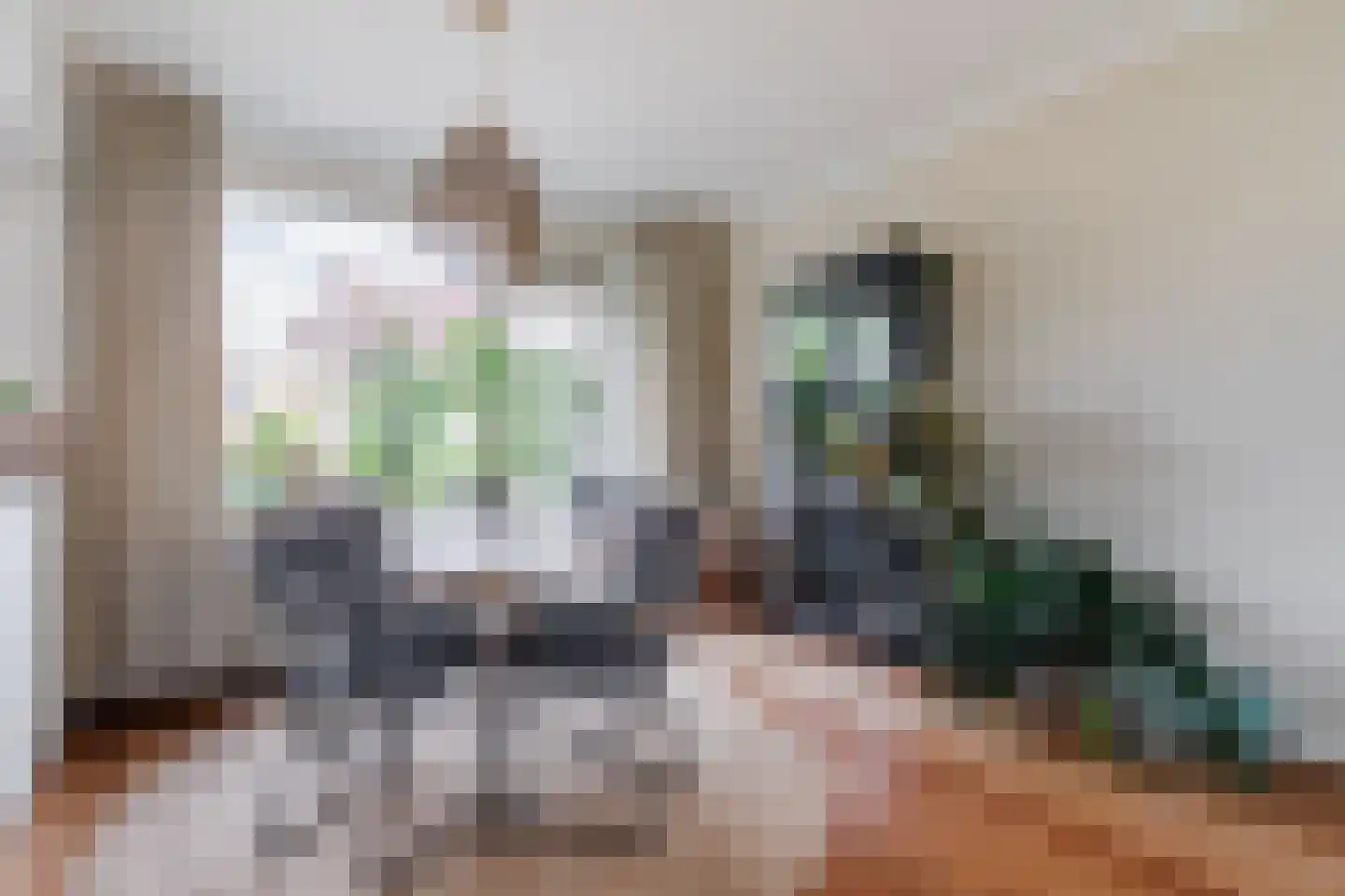Jan van Riebeeckstraat 26 Rheden thumbnail 9