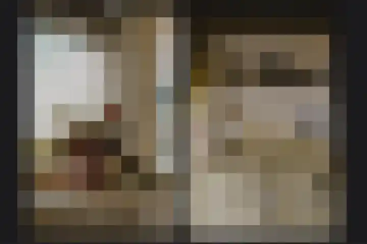 Jan van Riebeeckstraat 66 Culemborg thumbnail 15