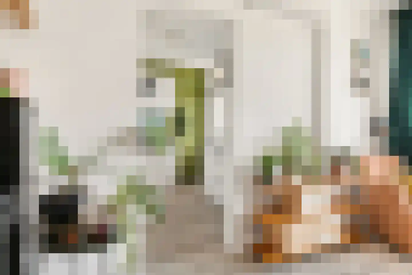 Jan van Riebeeckstraat 84 Culemborg thumbnail 12