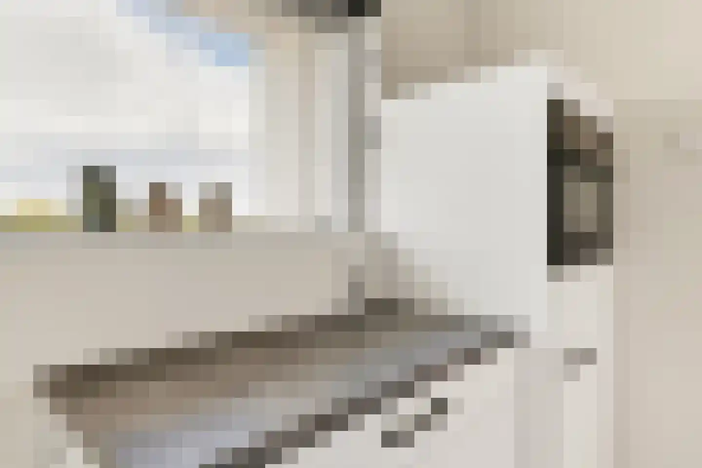 Jan van Riebeeckstraat 84 Culemborg thumbnail 14