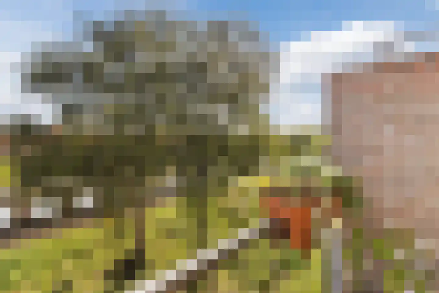 Jan van Riebeeckstraat 84 Culemborg thumbnail 29