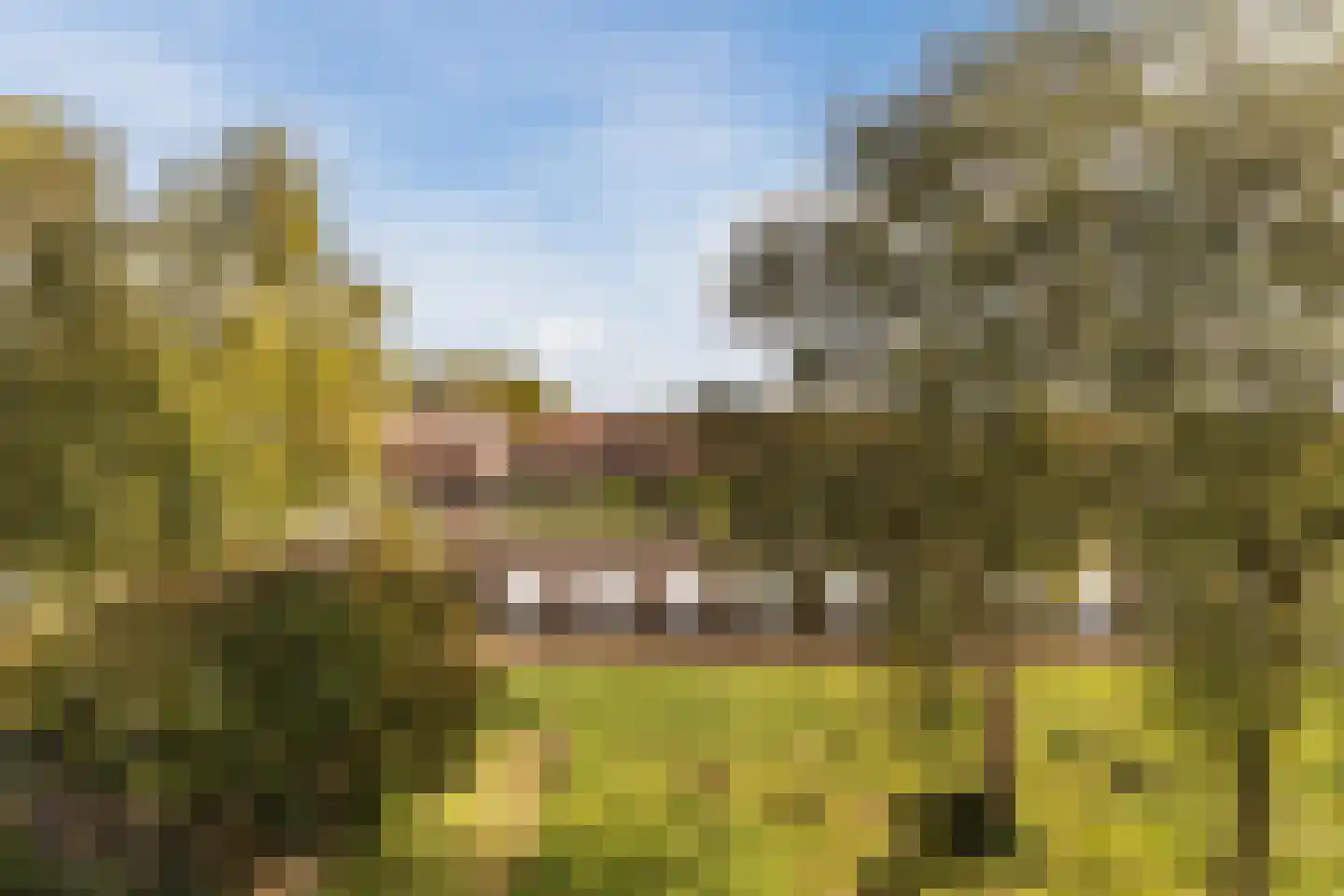 Jan van Riebeeckstraat 84 Culemborg thumbnail 31