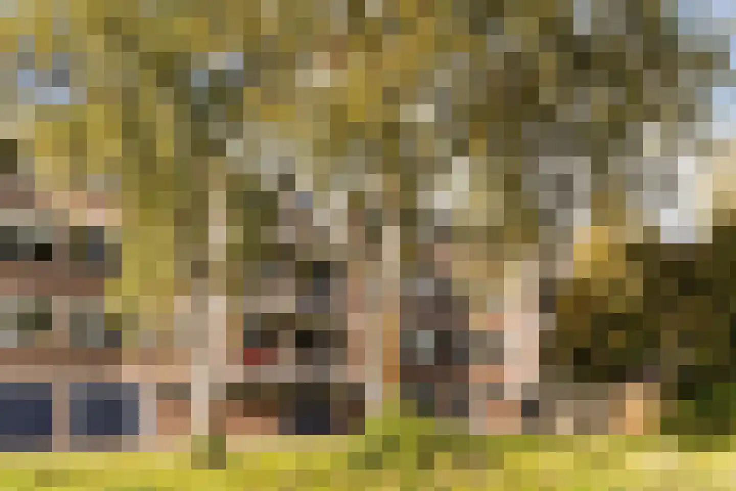 Jan van Riebeeckstraat 84 Culemborg thumbnail 32