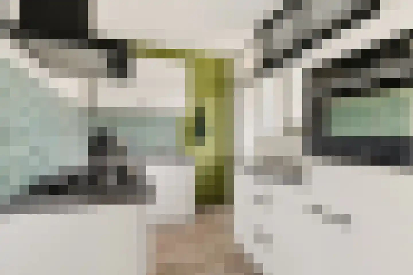 Jan van Riebeeckstraat 84 Culemborg thumbnail 5