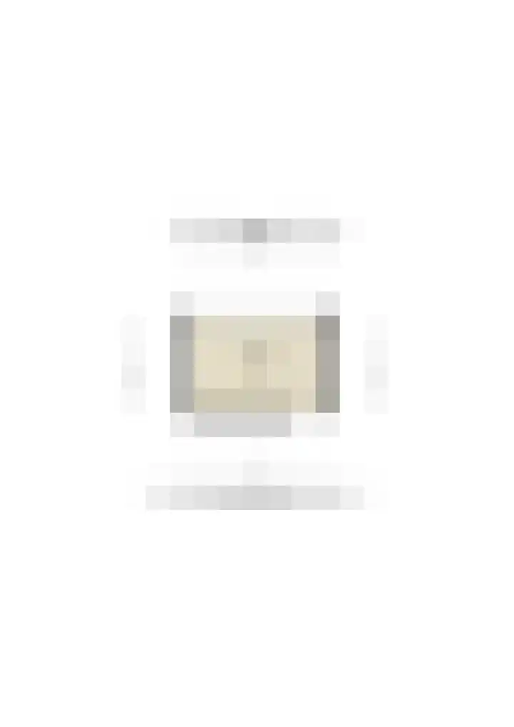 Jan van Riebeeckstraat 88 Culemborg thumbnail 31