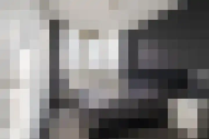 Jan van Riebeeckstraat 88 Culemborg thumbnail 9