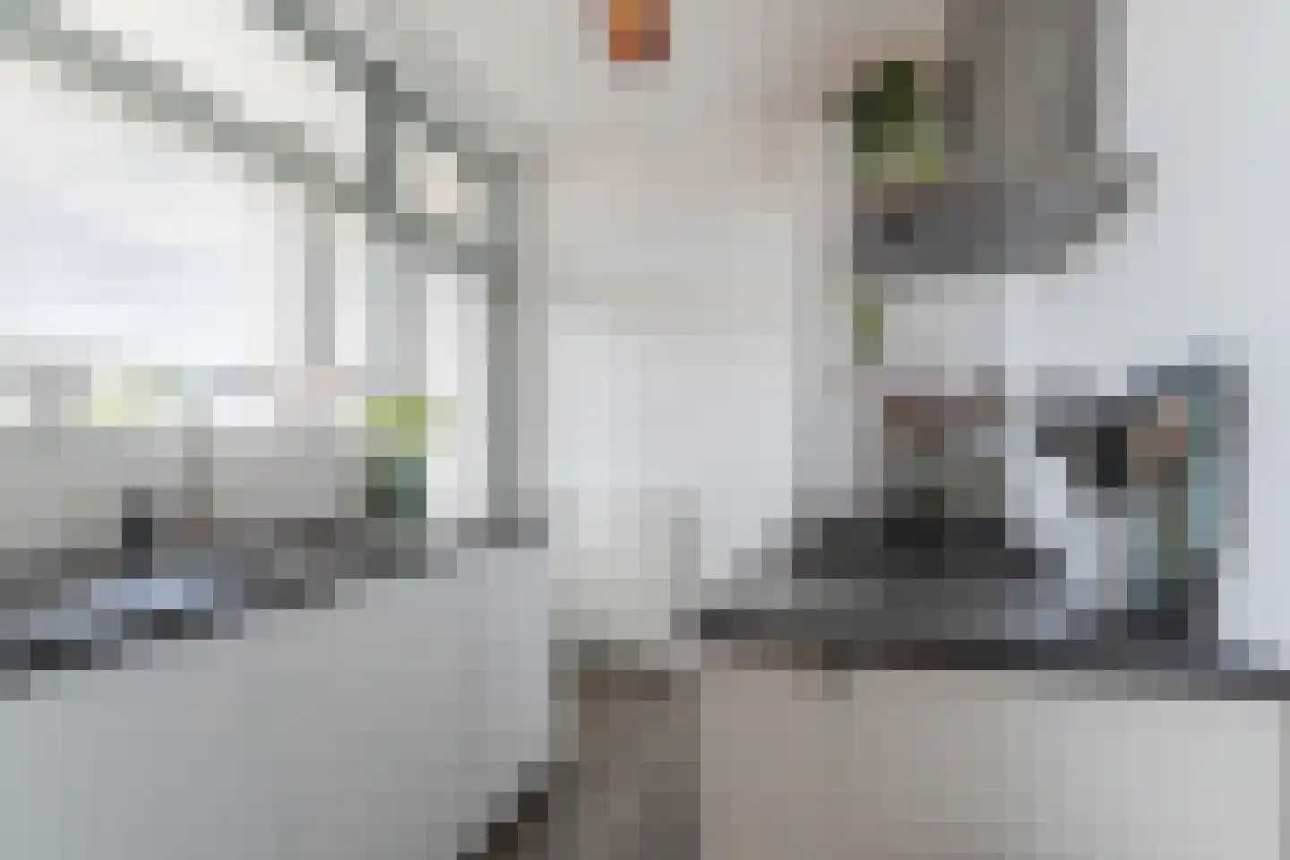 Jan van Riebeeckstraat 98 Culemborg thumbnail 5
