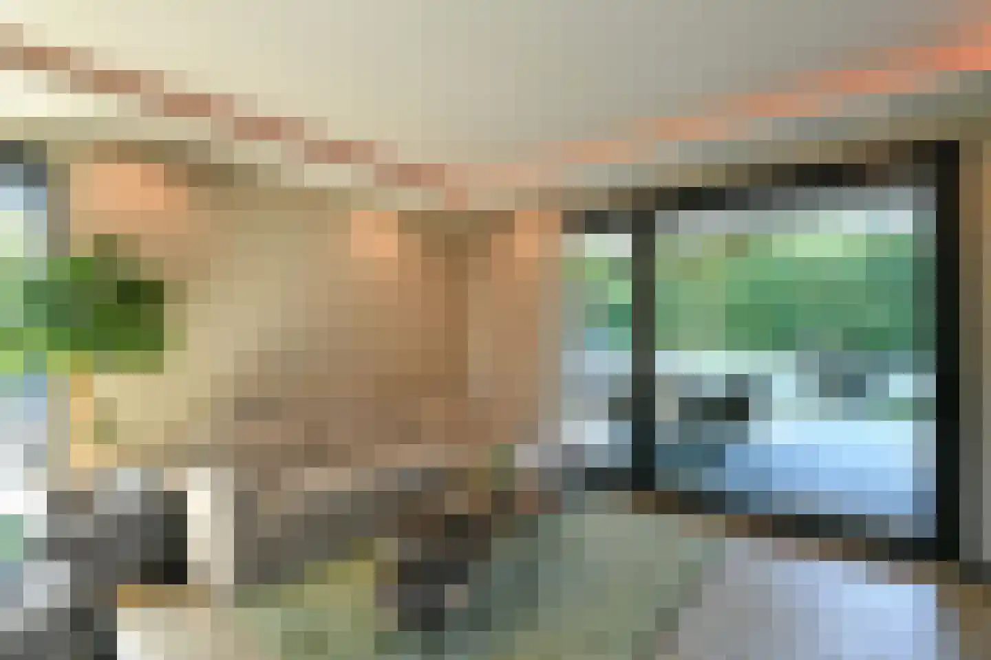 Jan van Riebeeckweg 37 Oosterbeek thumbnail 12