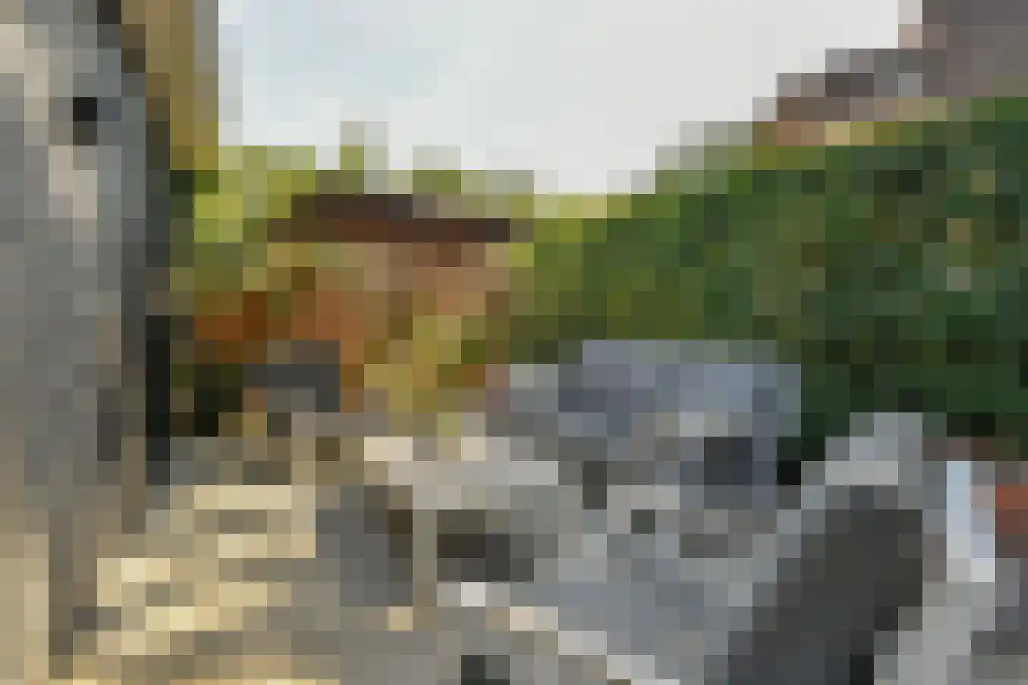Jan van Riebeeckweg 37 Oosterbeek thumbnail 35