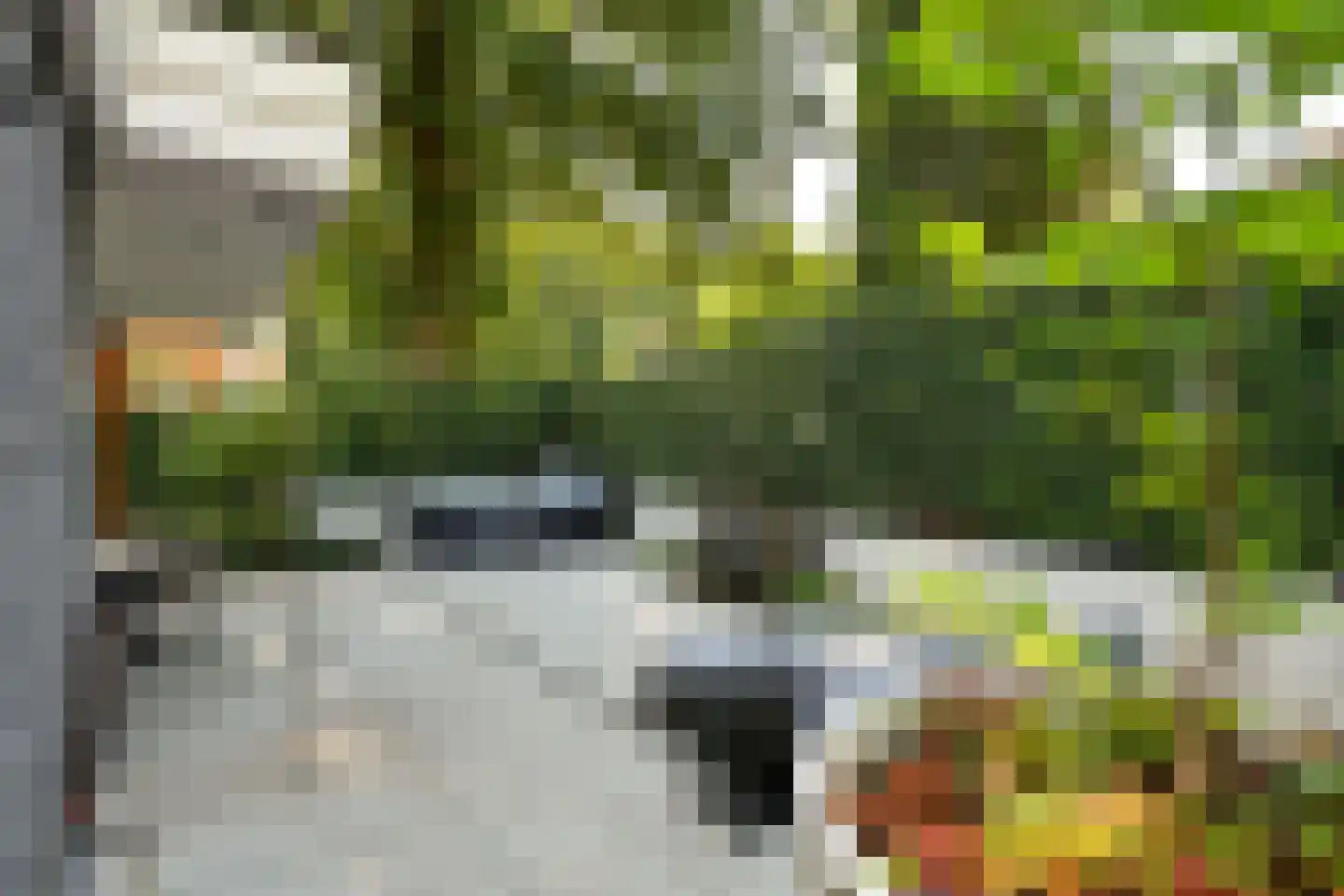 Jan van Riebeeckweg 37 Oosterbeek thumbnail 37