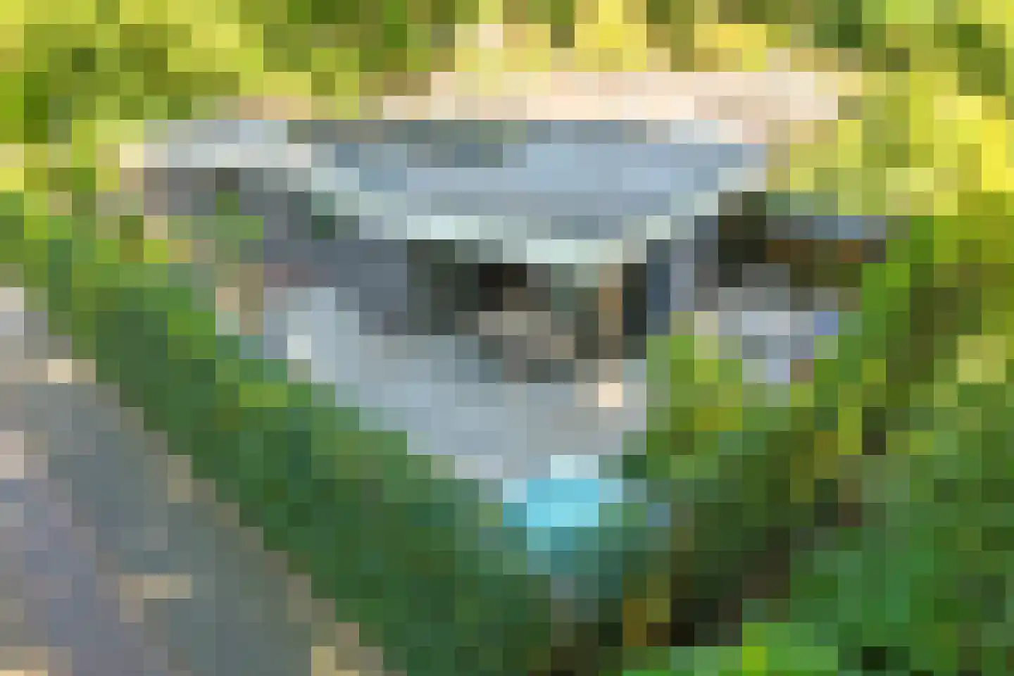 Jan van Riebeeckweg 37 Oosterbeek thumbnail 38