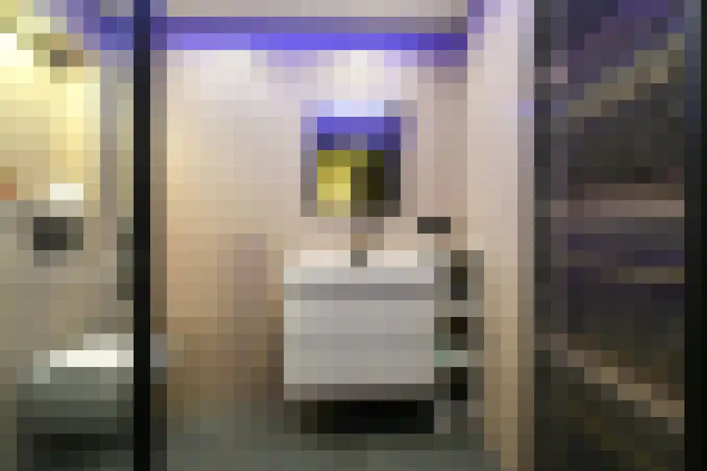 Jan van Riebeeckweg 37 Oosterbeek thumbnail 4