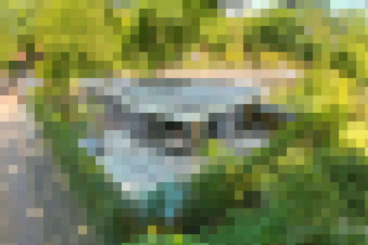 Jan van Riebeeckweg 37 Oosterbeek thumbnail 5