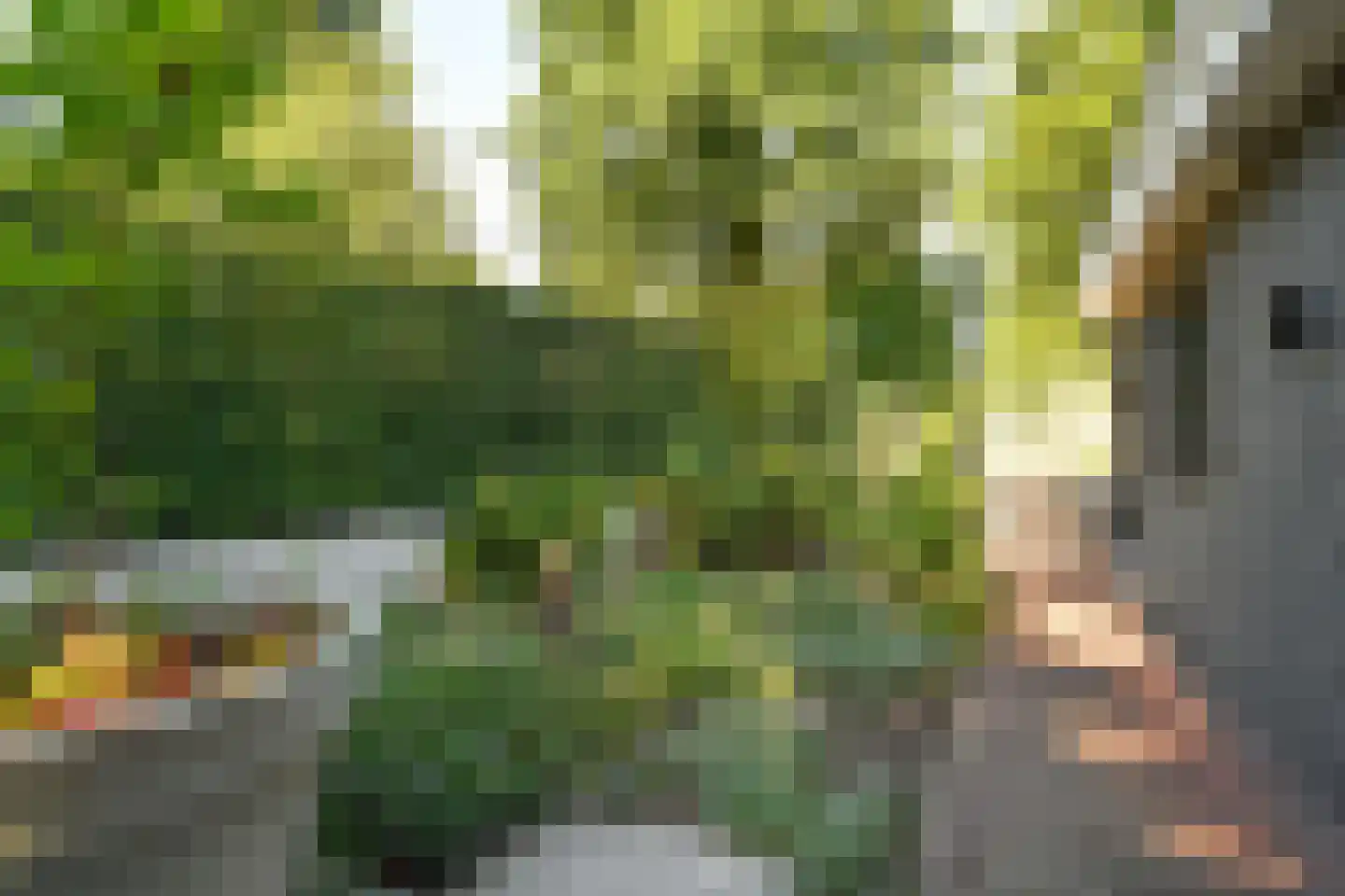 Jan van Riebeeckweg 37 Oosterbeek thumbnail 7