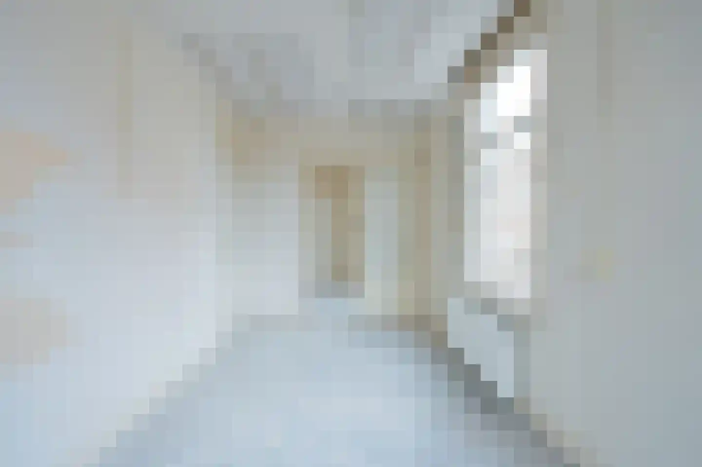 Jan van Riebeekstraat 1 2 Amsterdam thumbnail 4