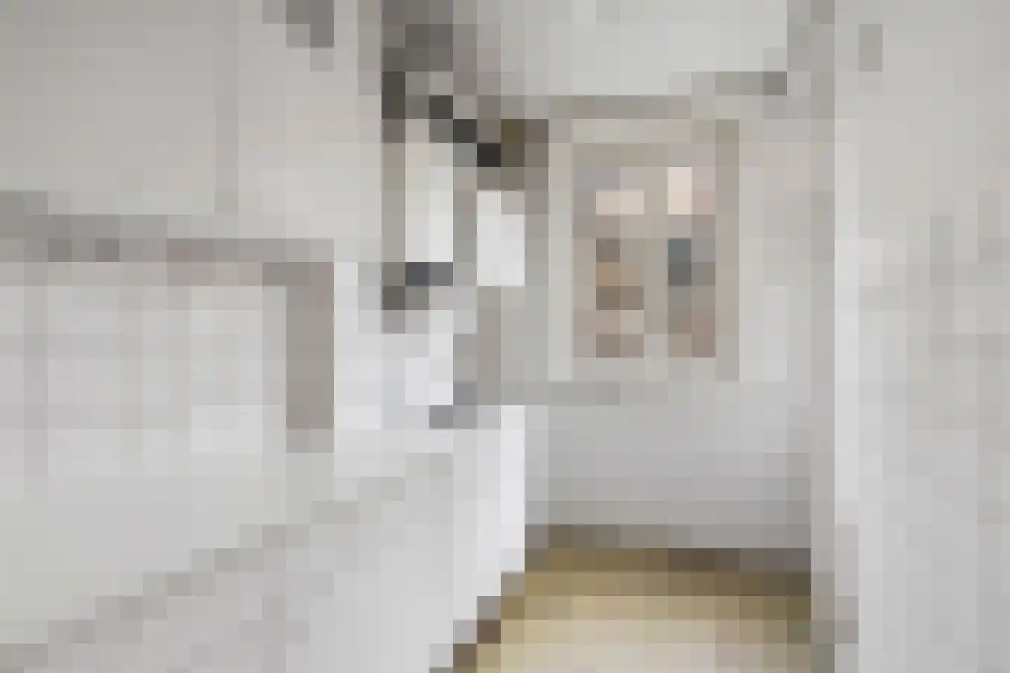 Jan van Riebeekstraat 22 1 Amsterdam thumbnail 13