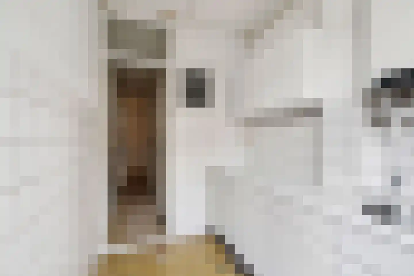 Jan van Riebeekstraat 22 1 Amsterdam thumbnail 14