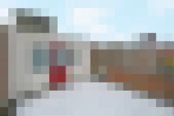 Jan van Riebeekstraat 3 Den Haag thumbnail 32