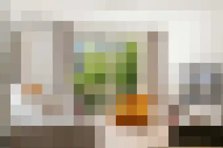 Jan van Riebeekstraat 5 H Amsterdam thumbnail 5